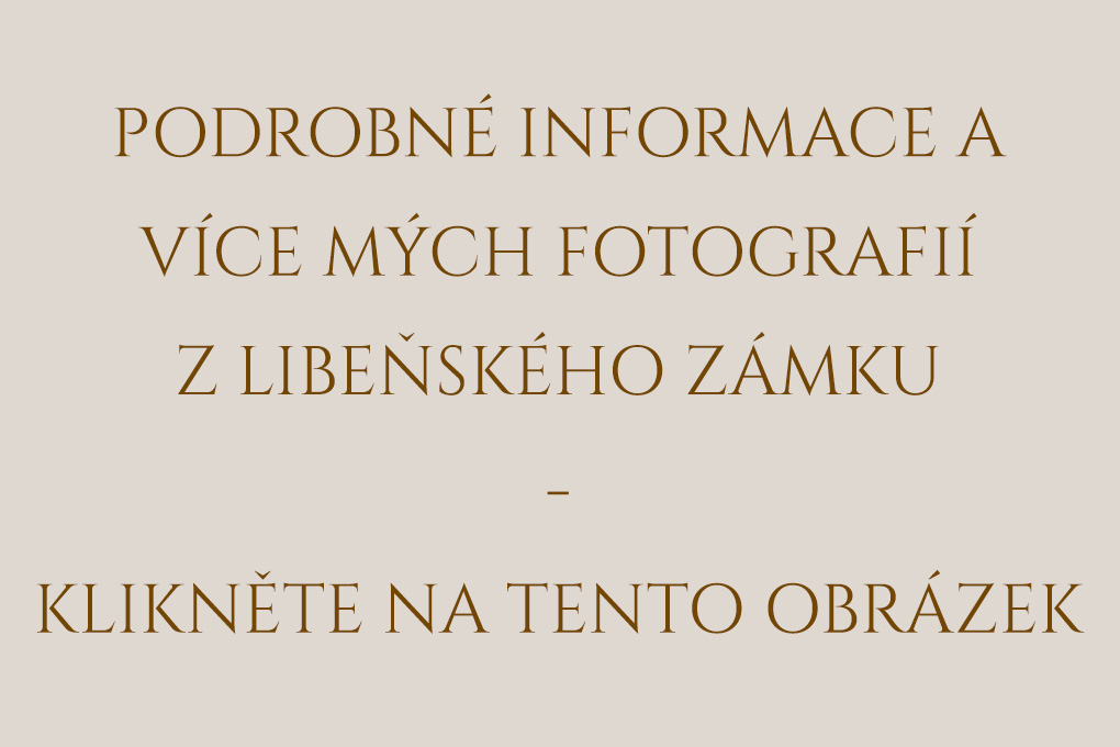 Text: Podrobné informace k fotografování svateb na Libeňském zámku - klikněte na tento obrázek