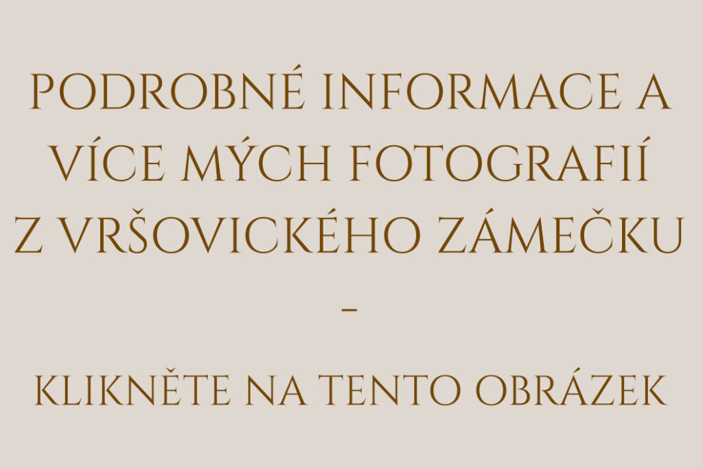 Text: Celý článek k fotografování svateb na Vršovickém zámečku - klikněte na tento obrázek