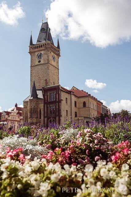 Old Town Hall with flowers in foreground