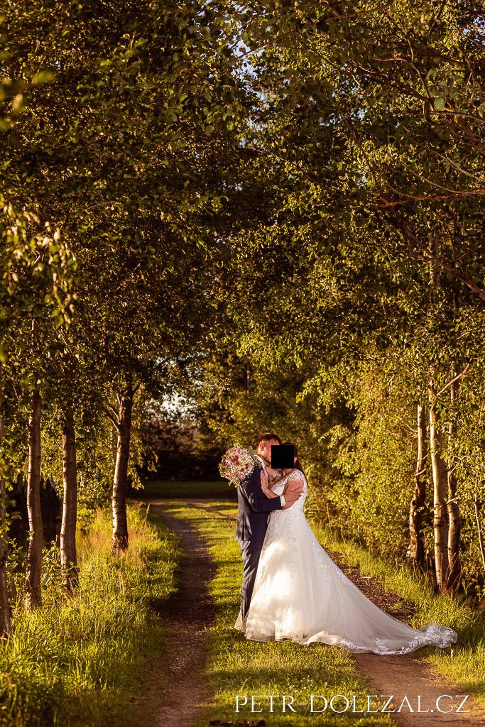 Novomanželé ve stromové aleji u Malého Švábovského rybníka