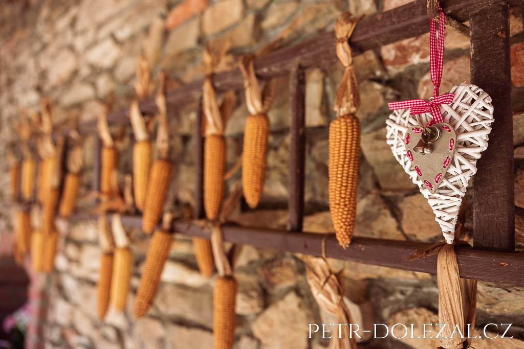 Kukuřice rozvěšená na žebříku jako dekorace v areálu Statku U Škodů