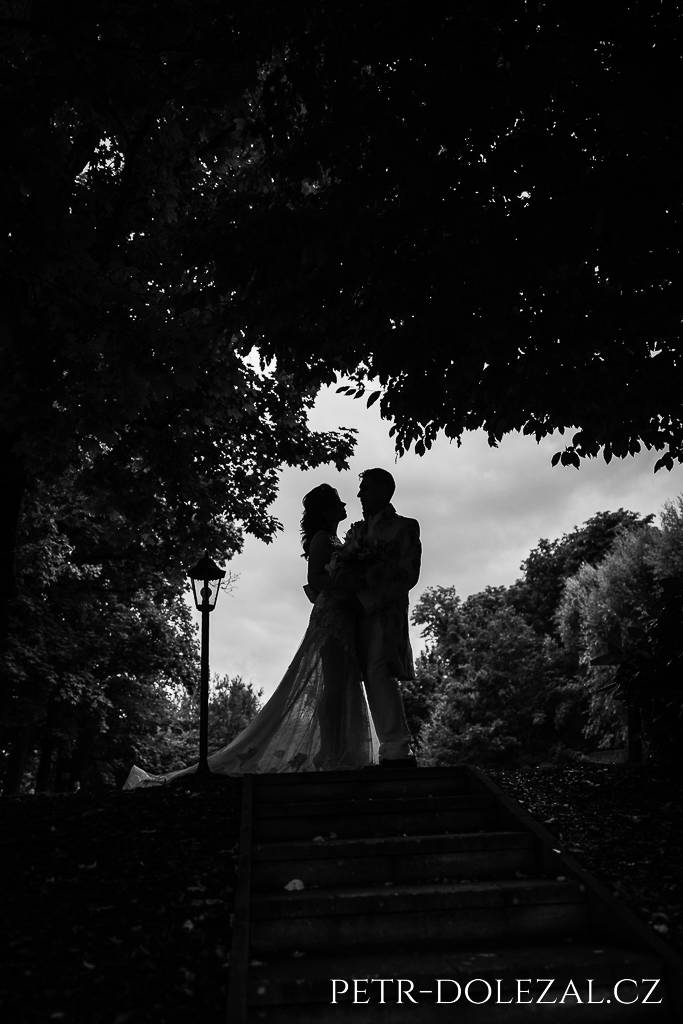 Černobílá fotografie siluet nevěsty a ženicha v průhledu k obloze mezi schodištěm a větvemi stromů