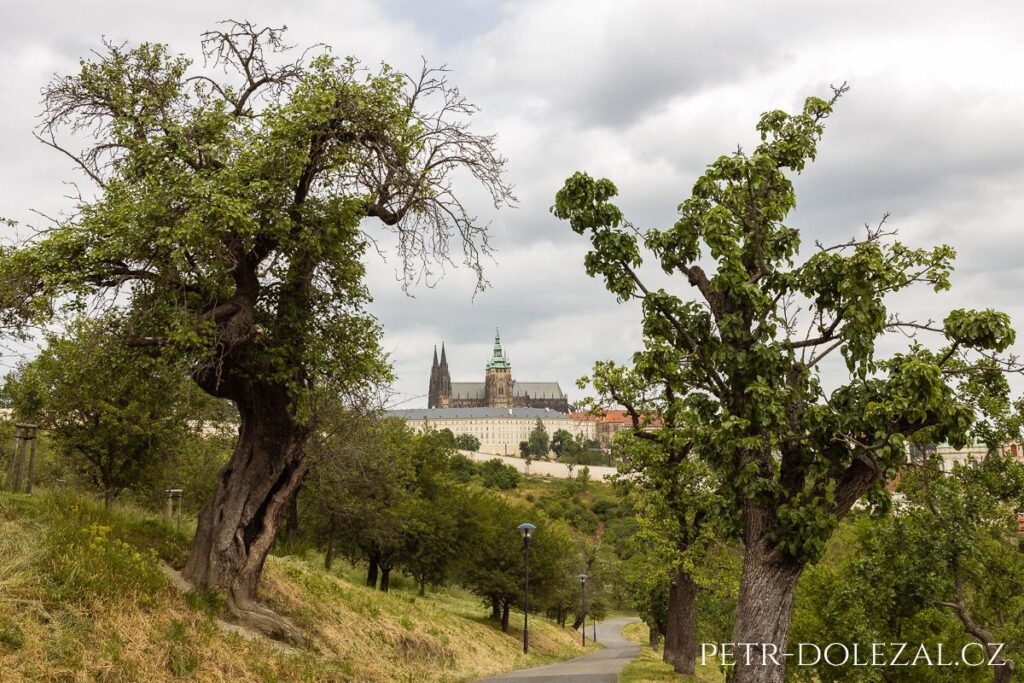 Svatba v restauraci Nebozízek, Praha