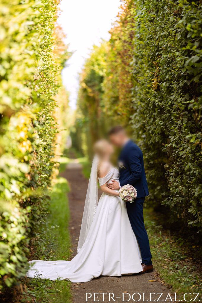 Ženich s nevěstou pózující v habrové aleji