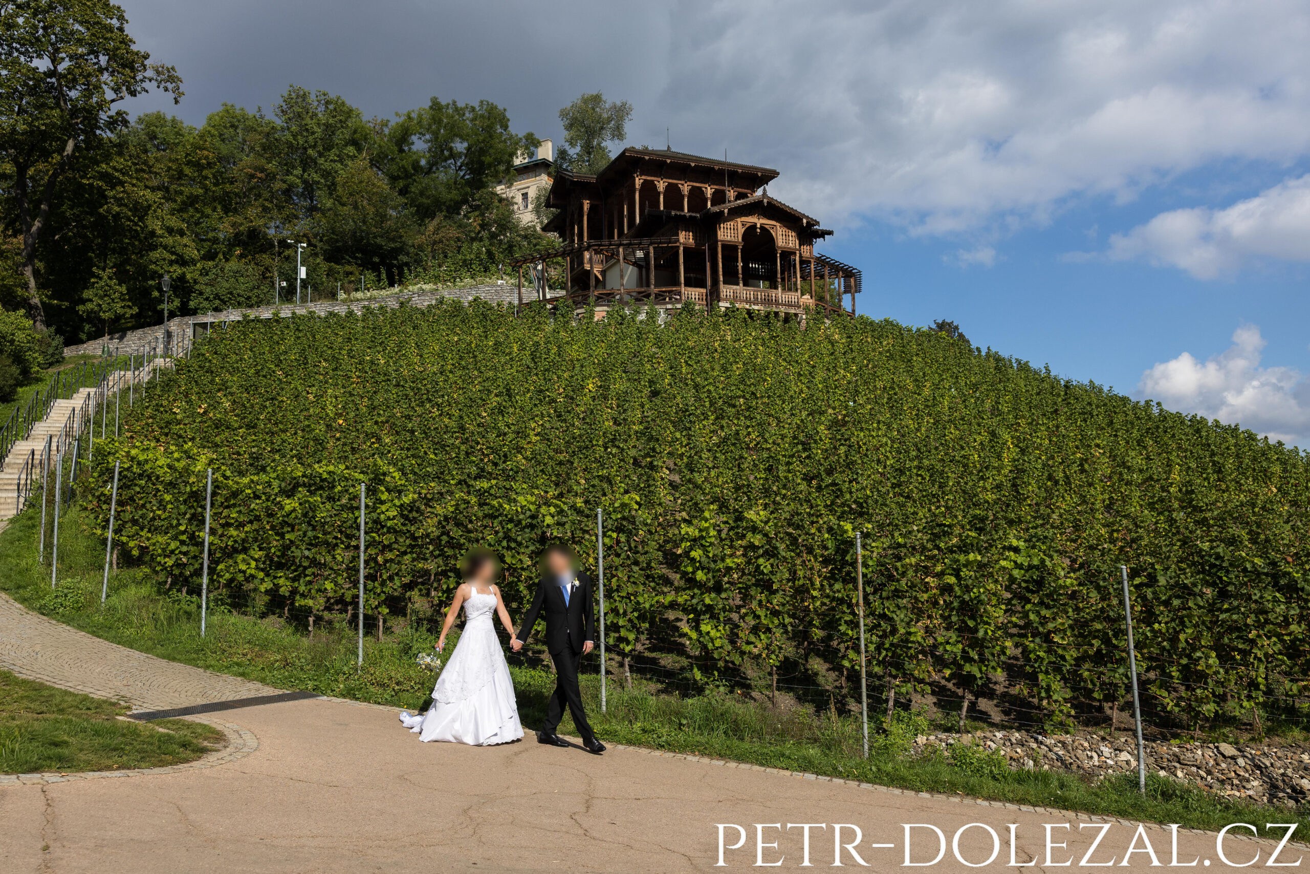 Ženich s nevěstou kráčející ruku v ruce pod altánem a vinicí